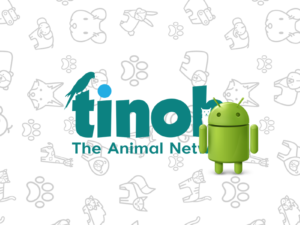 Tinoh Android