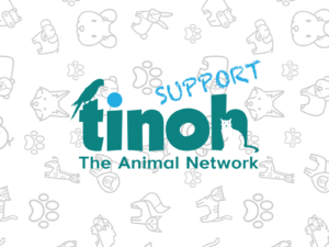Tinoh Support